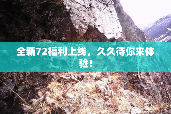 全新72福利上线，久久待你来体验！