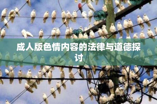 成人版色情内容的法律与道德探讨