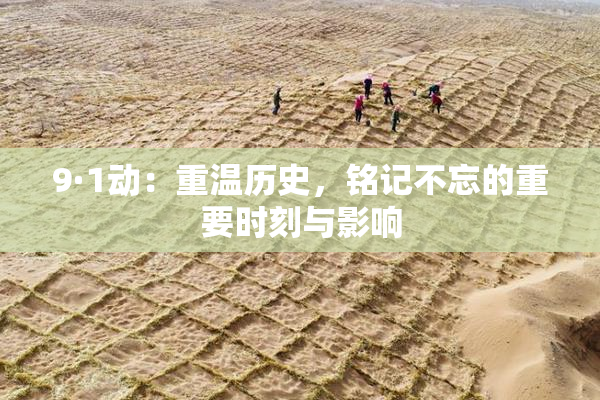 9·1动：重温历史，铭记不忘的重要时刻与影响