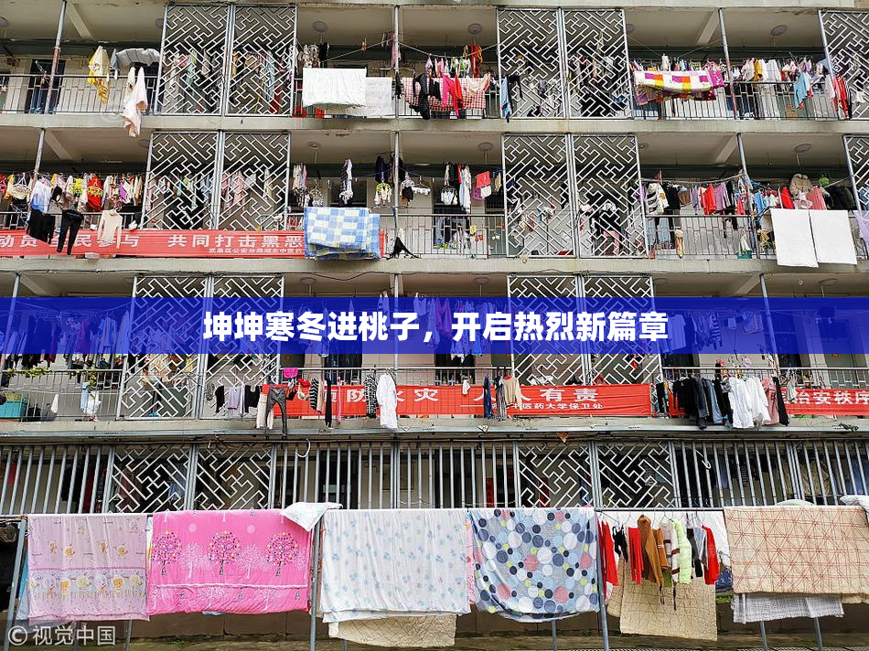 坤坤寒冬进桃子，开启热烈新篇章