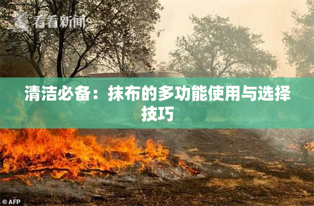 清洁必备：抹布的多功能使用与选择技巧