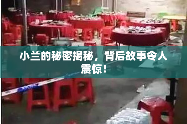 小兰的秘密揭秘，背后故事令人震惊！