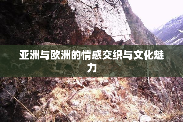 亚洲与欧洲的情感交织与文化魅力