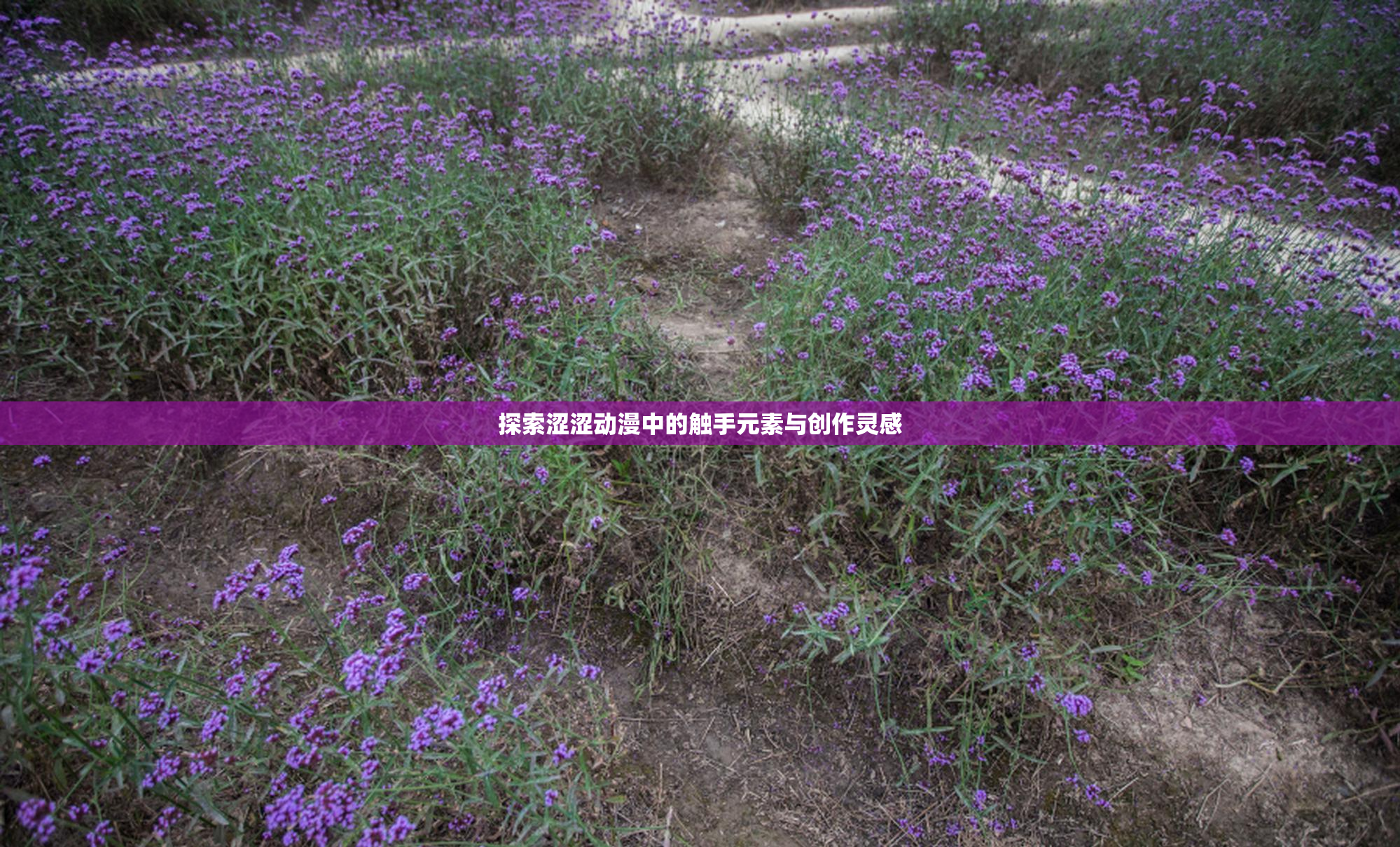 探索涩涩动漫中的触手元素与创作灵感