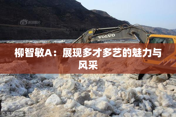 柳智敏A：展现多才多艺的魅力与风采