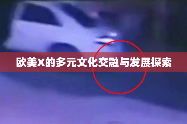 欧美X的多元文化交融与发展探索