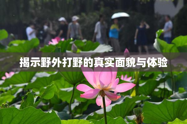 揭示野外打野的真实面貌与体验