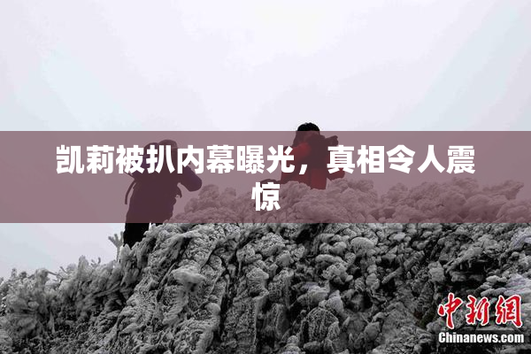 凯莉被扒内幕曝光，真相令人震惊