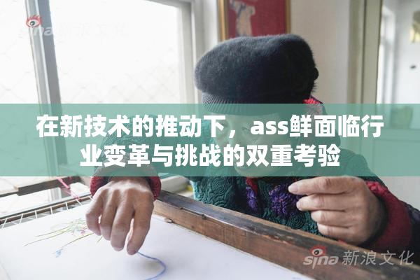 在新技术的推动下，ass鲜面临行业变革与挑战的双重考验