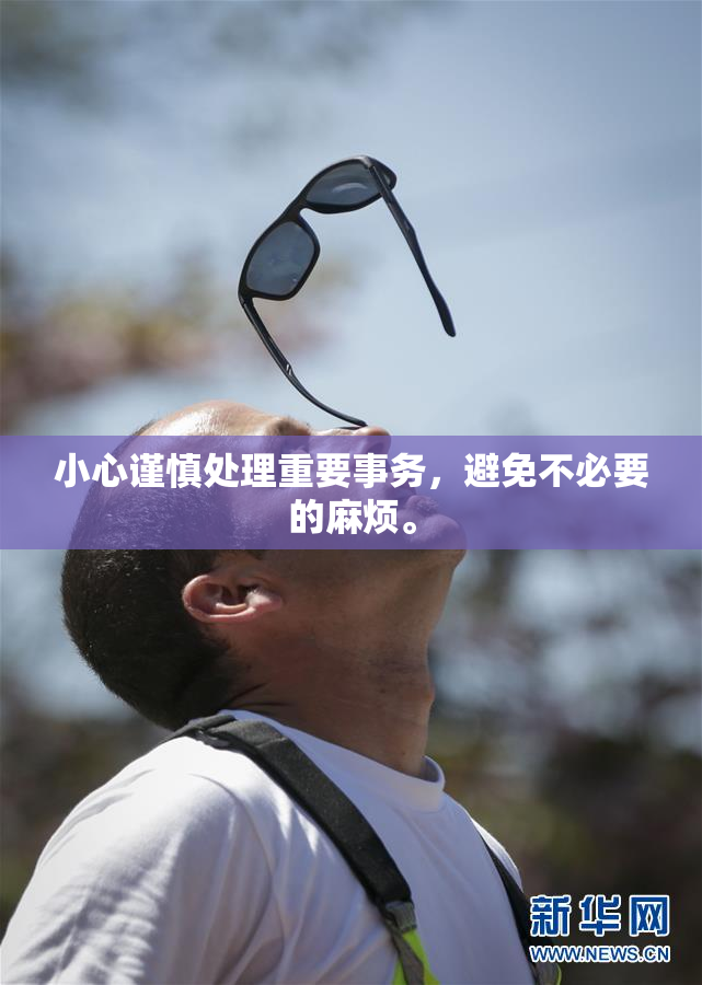 小心谨慎处理重要事务，避免不必要的麻烦。