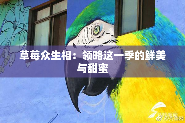 草莓众生相：领略这一季的鲜美与甜蜜