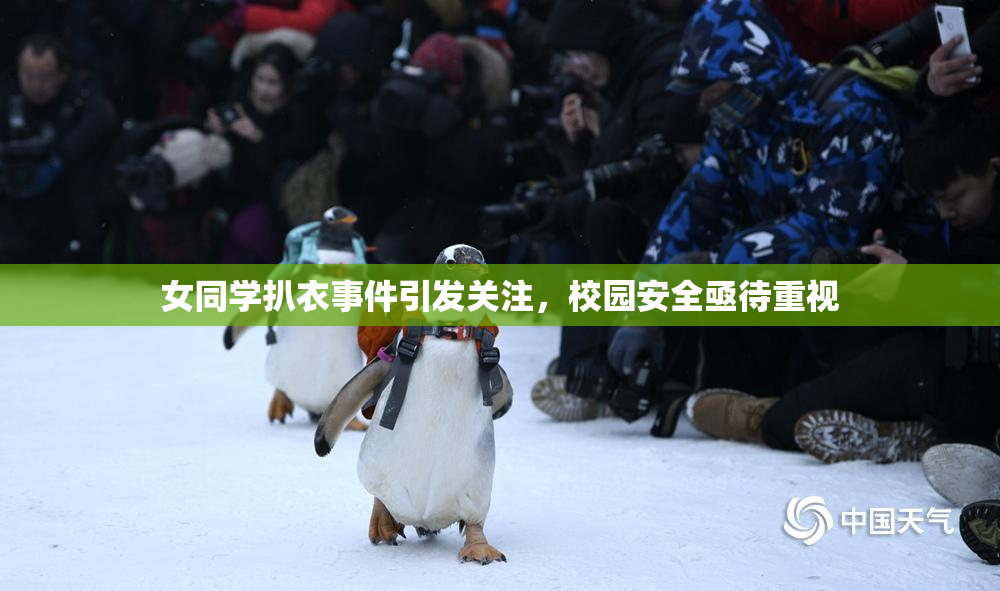 女同学扒衣事件引发关注，校园安全亟待重视