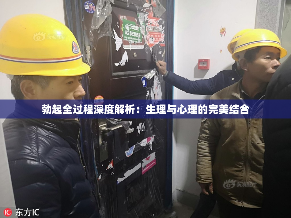 勃起全过程深度解析：生理与心理的完美结合