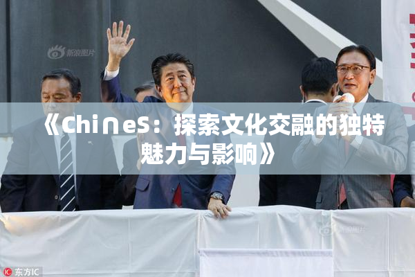 《Chi∩eS：探索文化交融的独特魅力与影响》