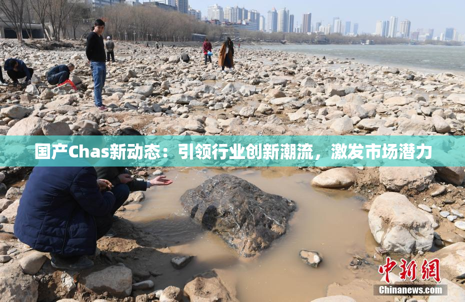 国产Chas新动态：引领行业创新潮流，激发市场潜力