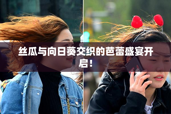 丝瓜与向日葵交织的芭蕾盛宴开启！