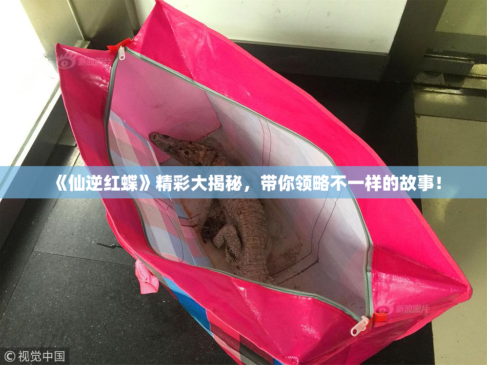 《仙逆红蝶》精彩大揭秘，带你领略不一样的故事！
