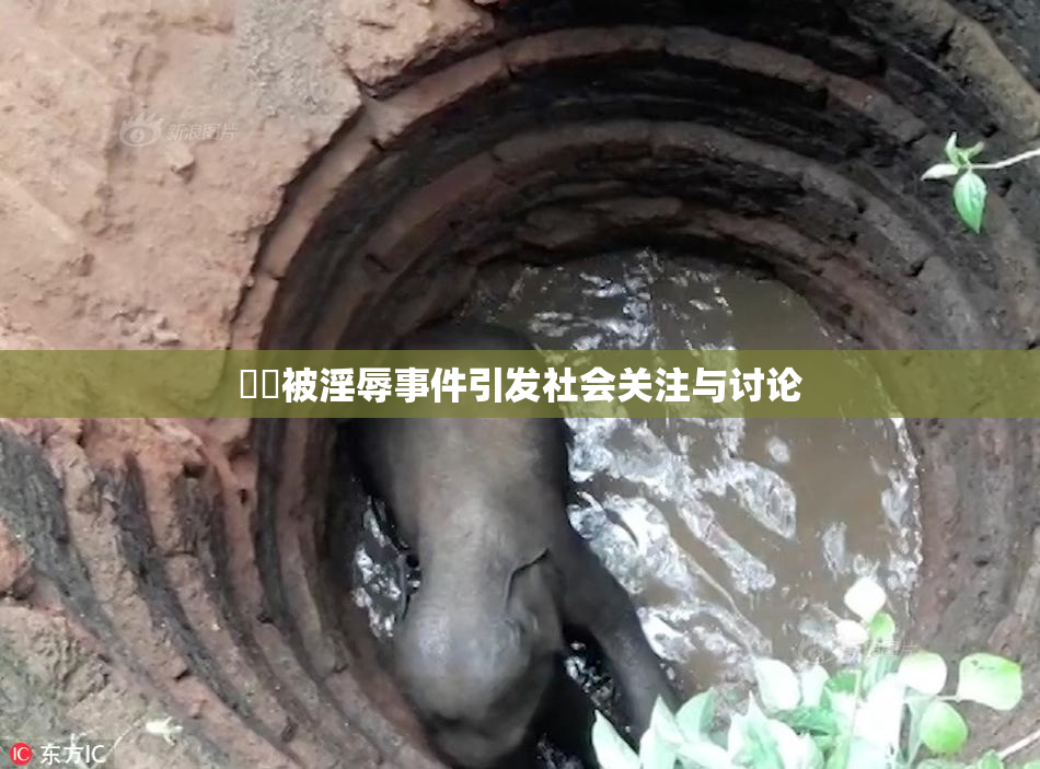 妺妺被淫辱事件引发社会关注与讨论