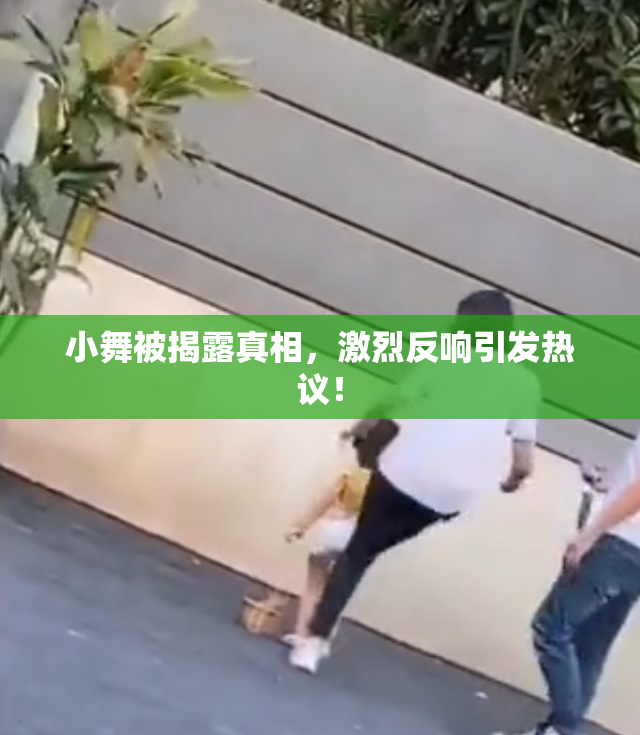 小舞被揭露真相，激烈反响引发热议！