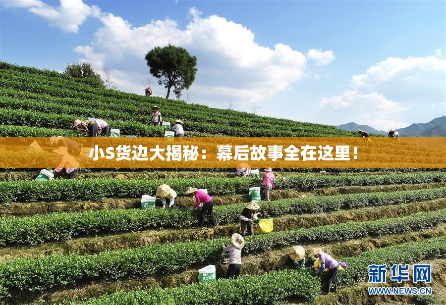小S货边大揭秘：幕后故事全在这里！