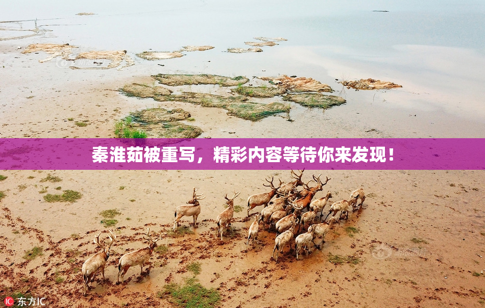 秦淮茹被重写，精彩内容等待你来发现！