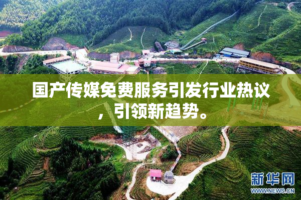 国产传媒免费服务引发行业热议，引领新趋势。