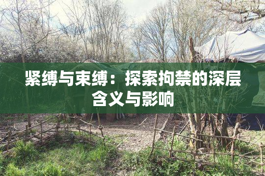 紧缚与束缚：探索拘禁的深层含义与影响