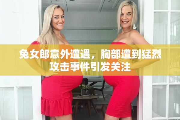 兔女郎意外遭遇，胸部遭到猛烈攻击事件引发关注