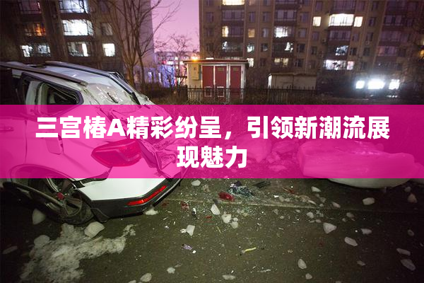 三宫椿A精彩纷呈，引领新潮流展现魅力