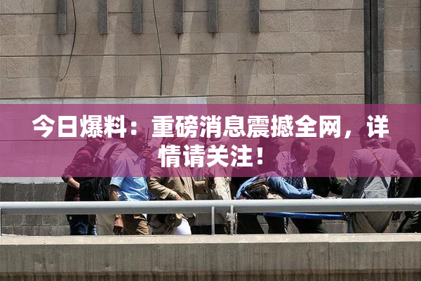 今日爆料：重磅消息震撼全网，详情请关注！