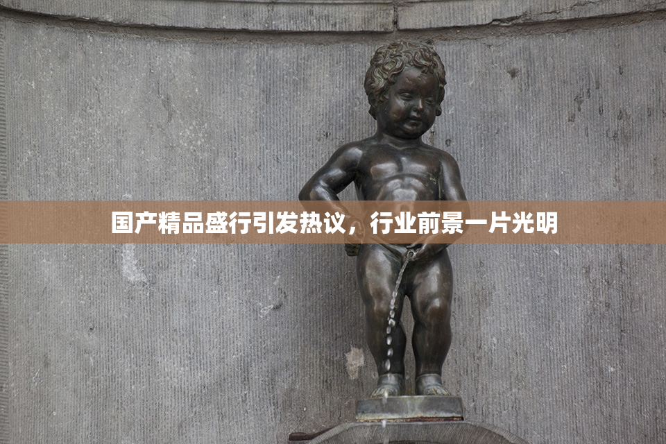 国产精品盛行引发热议，行业前景一片光明