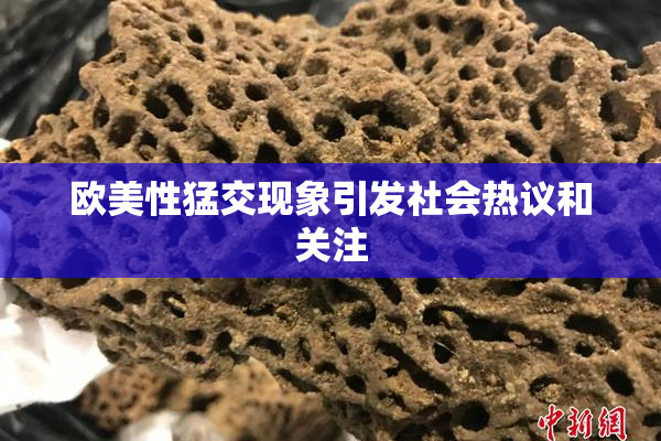 欧美性猛交现象引发社会热议和关注