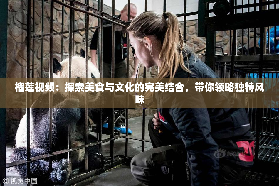 榴莲视频：探索美食与文化的完美结合，带你领略独特风味
