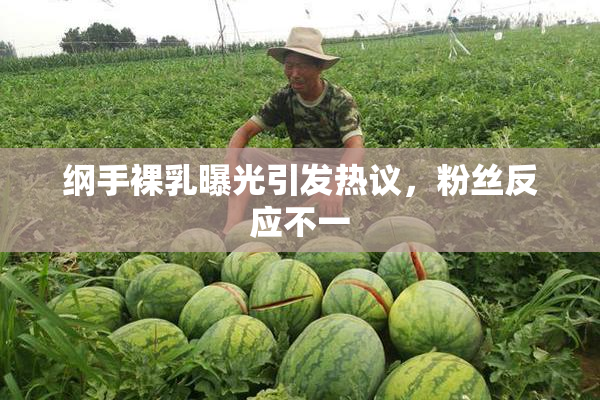纲手裸乳曝光引发热议，粉丝反应不一