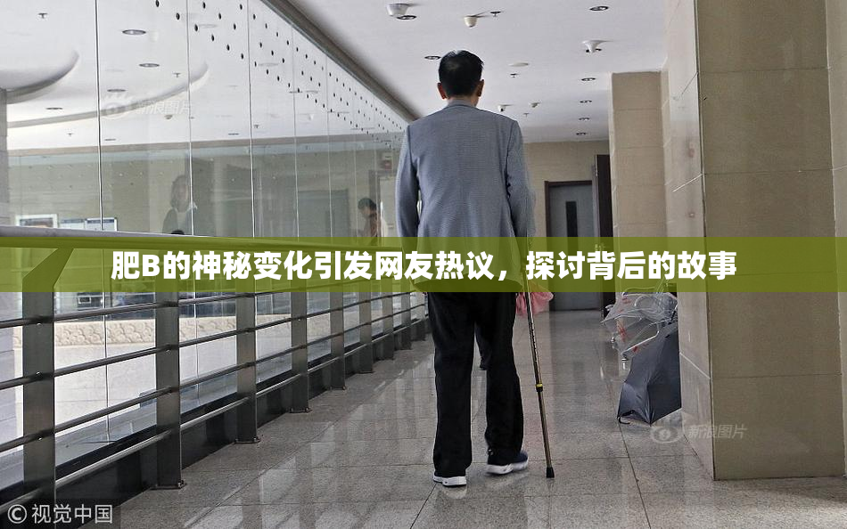 肥B的神秘变化引发网友热议，探讨背后的故事