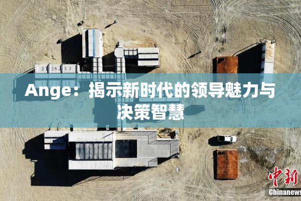 Ange：揭示新时代的领导魅力与决策智慧