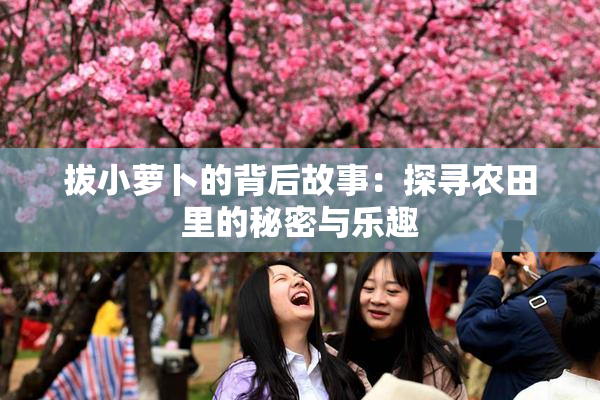 拔小萝卜的背后故事：探寻农田里的秘密与乐趣