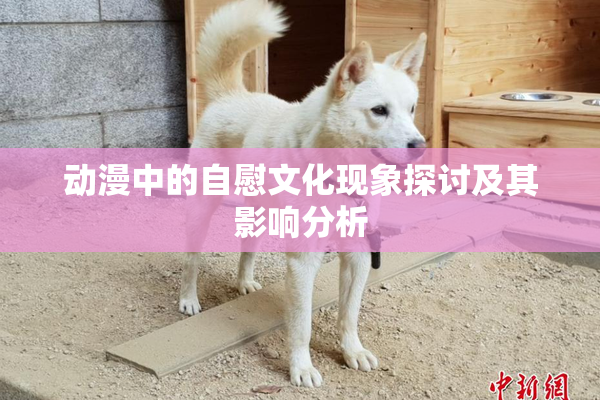 动漫中的自慰文化现象探讨及其影响分析