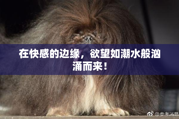 在快感的边缘，欲望如潮水般汹涌而来！
