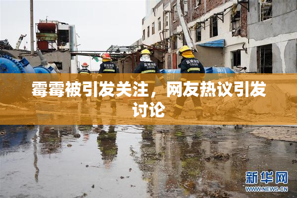 霉霉被引发关注，网友热议引发讨论