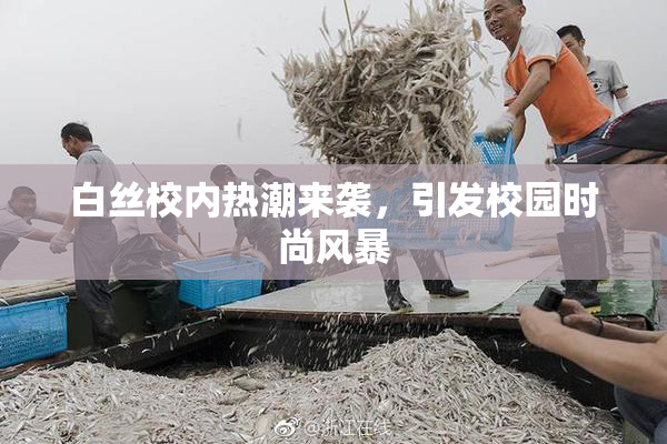 白丝校内热潮来袭，引发校园时尚风暴