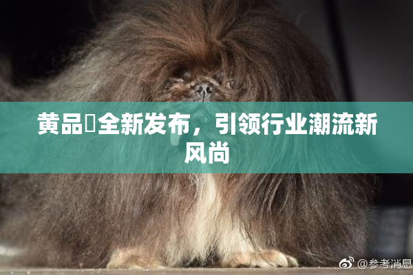 黄品匯全新发布，引领行业潮流新风尚