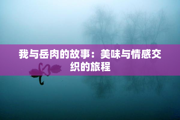 我与岳肉的故事：美味与情感交织的旅程