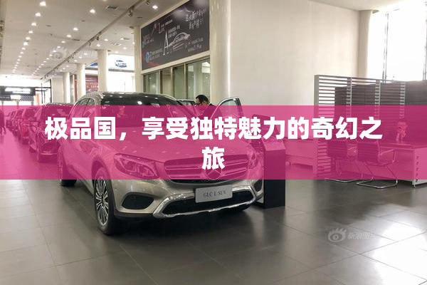 极品国，享受独特魅力的奇幻之旅