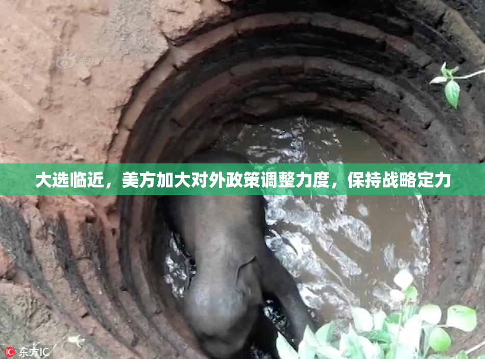 大选临近，美方加大对外政策调整力度，保持战略定力