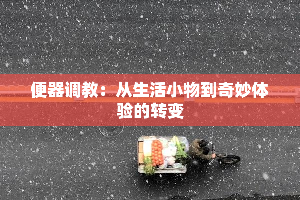 便器调教：从生活小物到奇妙体验的转变