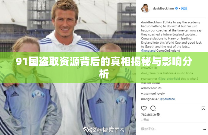 91国盗取资源背后的真相揭秘与影响分析