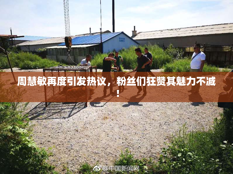 周慧敏再度引发热议，粉丝们狂赞其魅力不减！