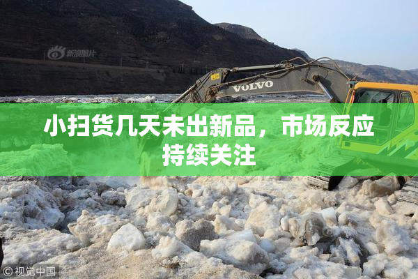 小扫货几天未出新品，市场反应持续关注