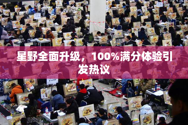 星野全面升级，100%满分体验引发热议